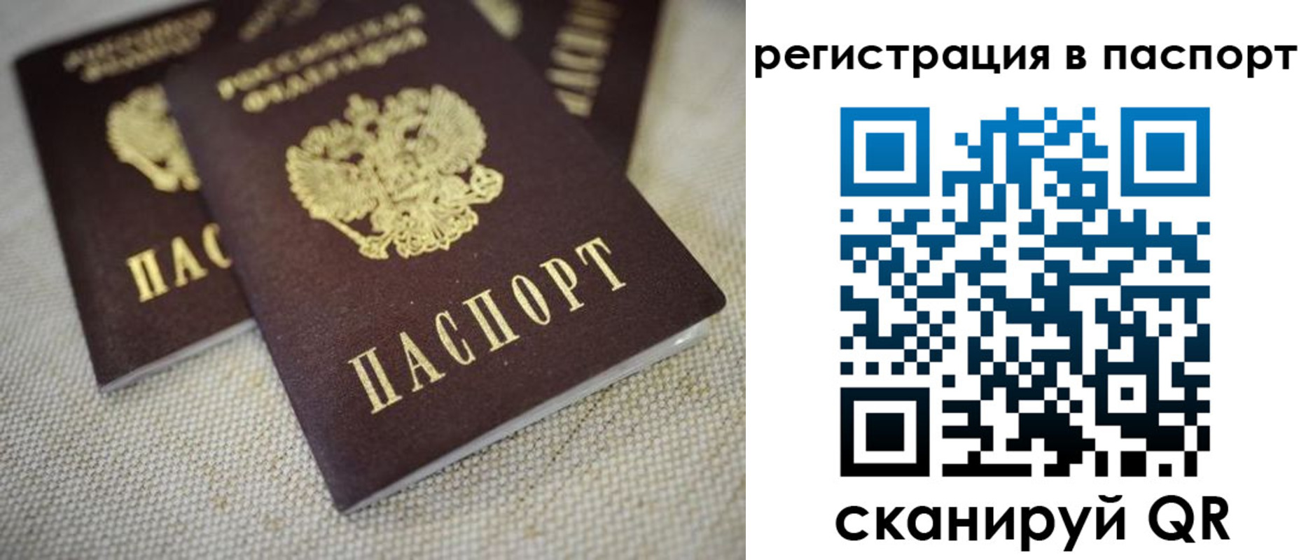 прописка гарантия в Мантурово